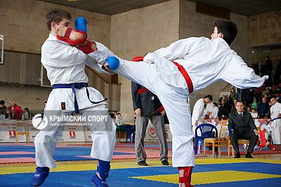 Симферополь примет Олимпиаду боевых искусств Крыма
