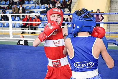 В Симферополе определились победители первенства Крыма по боксу среди юношей 13-14 лет