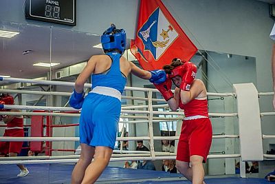 В Севастополе прошел юношеский турнир по боксу, посвященный Дню учителя