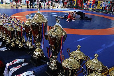 Почти 200 участников собрал юношеский борцовский турнир в Красногвардейском районе