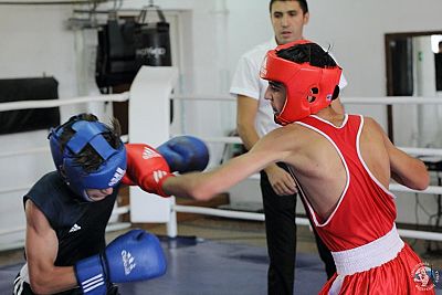 В Севастополе прошел юношеский турнир по боксу