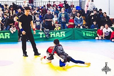В Нижнегорском районе разыграют "Кубок-PRIDE" по спортивной борьбе грэпплинг