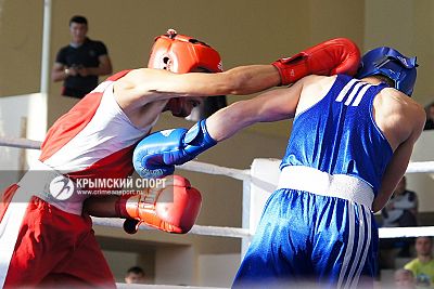 В Симферополе стартовал чемпионат Крымского федерального округа по боксу