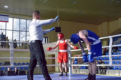 В Симферополе определили сильнейших юных боксеров Крыма