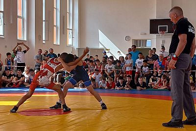 В борцовских соревнованиях в Бахчисарайском районе приняла участие команда из Узбекистана