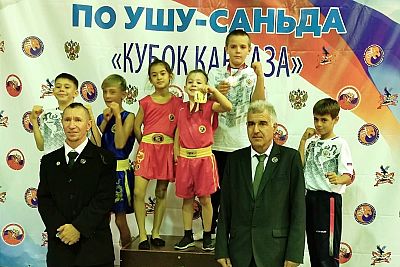 У крымчан – четыре медали по Всероссийских соревнованиях по ушу-саньда в Краснодарском крае